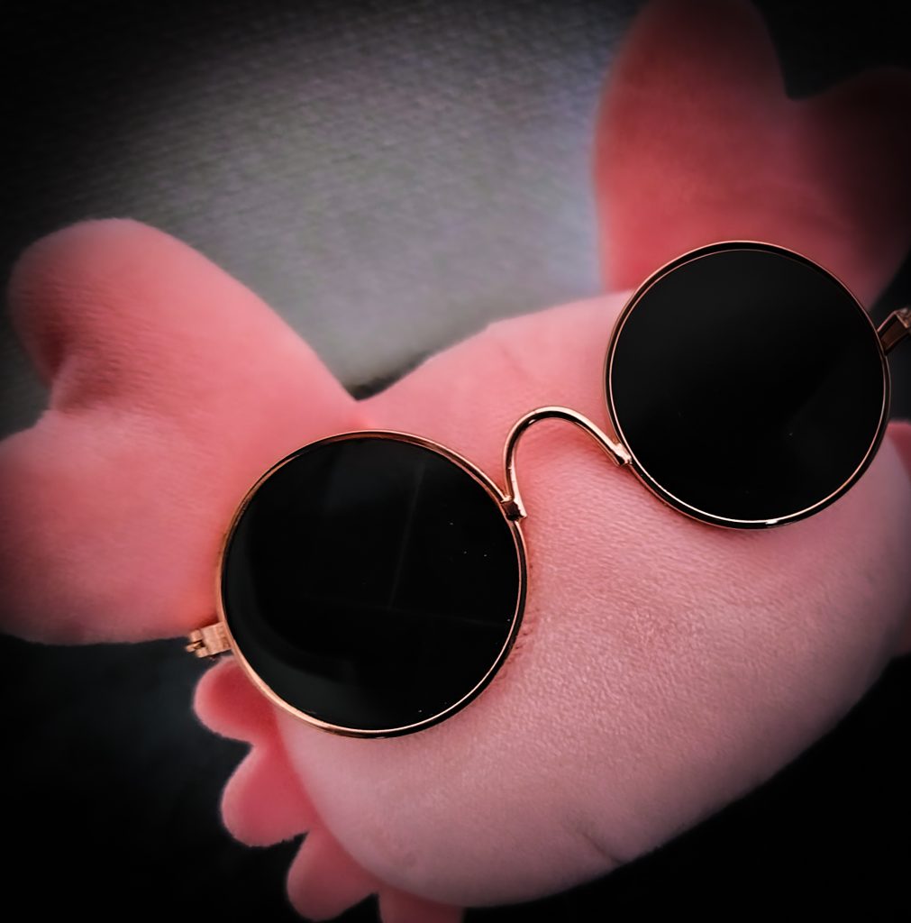 サングラスをかけたカニのぬいぐるみがこちらを向いている